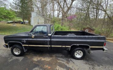 Chevrolet-K10-1984-2