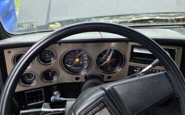 Chevrolet-K10-1984-8