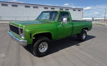 Chevrolet-K10-4x4-1979-green-3