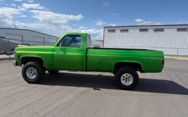 Chevrolet-K10-4x4-1979-green-4