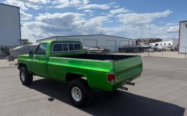 Chevrolet-K10-4x4-1979-green-5