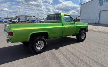 Chevrolet-K10-4x4-1979-green-6