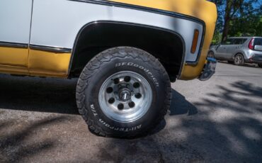 Chevrolet-K10-Pickup-1977-Standard-Cab-Pickup-10