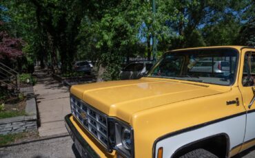 Chevrolet-K10-Pickup-1977-Standard-Cab-Pickup-11