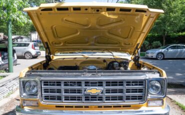 Chevrolet-K10-Pickup-1977-Standard-Cab-Pickup-14