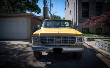 Chevrolet-K10-Pickup-1977-Standard-Cab-Pickup-16