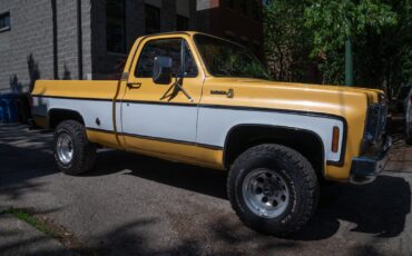 Chevrolet-K10-Pickup-1977-Standard-Cab-Pickup-2