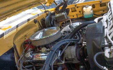 Chevrolet-K10-Pickup-1977-Standard-Cab-Pickup-20