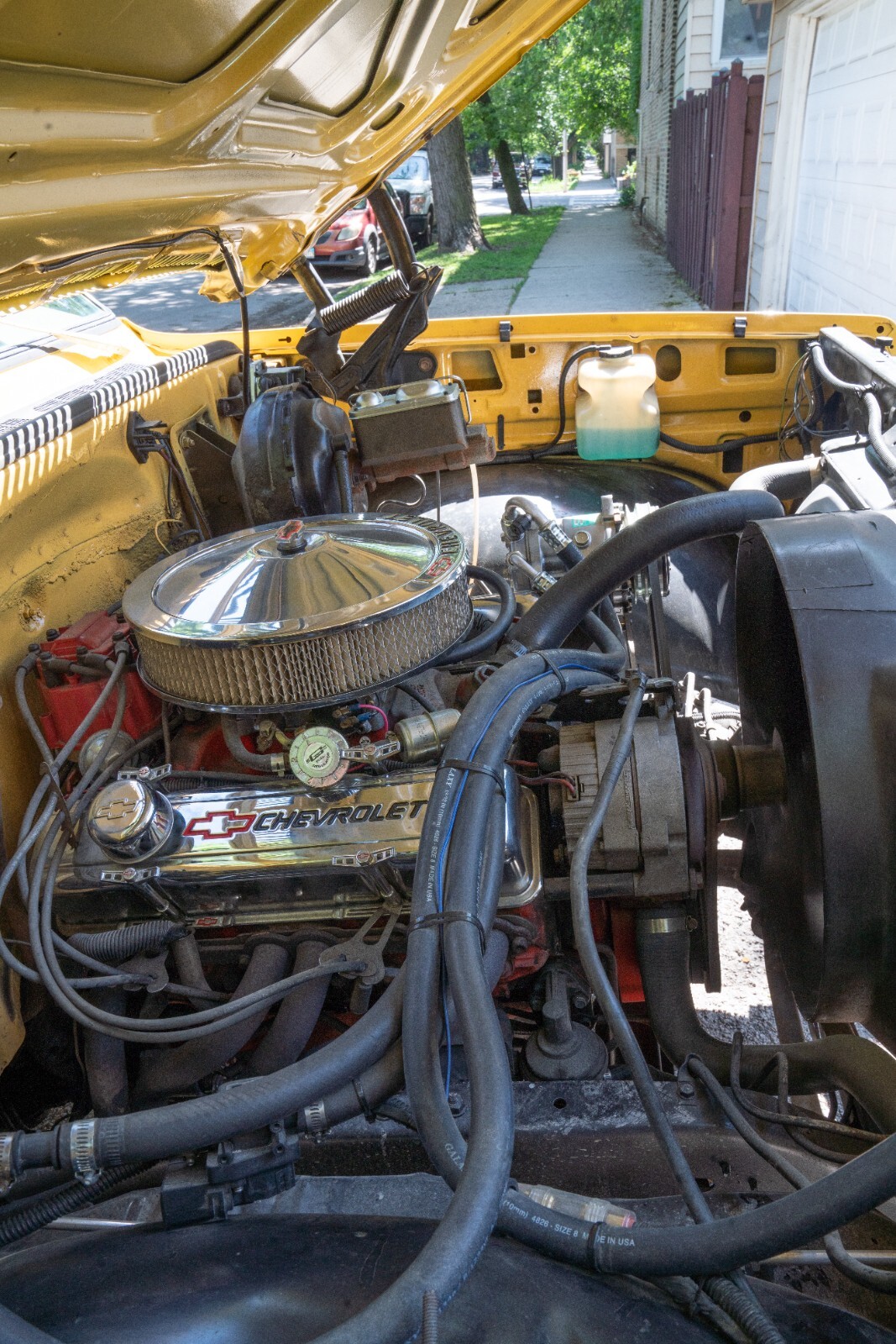Chevrolet-K10-Pickup-1977-Standard-Cab-Pickup-28