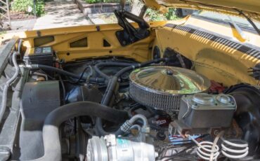 Chevrolet-K10-Pickup-1977-Standard-Cab-Pickup-29