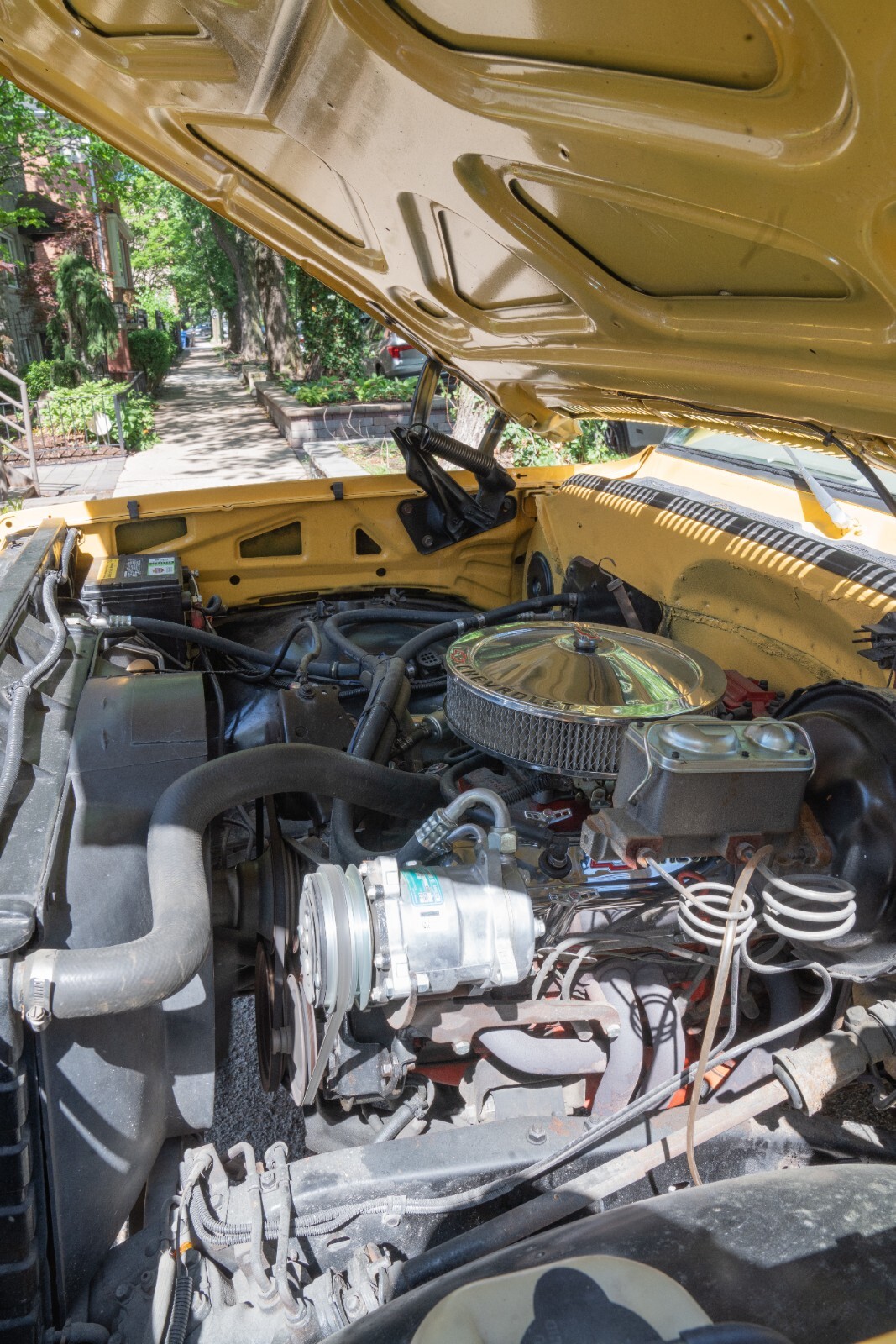 Chevrolet-K10-Pickup-1977-Standard-Cab-Pickup-29
