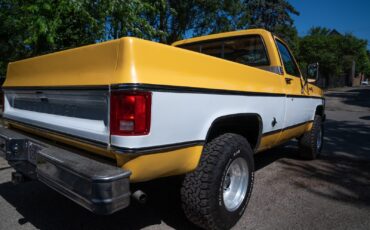 Chevrolet-K10-Pickup-1977-Standard-Cab-Pickup-3