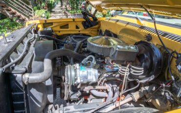 Chevrolet-K10-Pickup-1977-Standard-Cab-Pickup-30