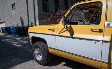 Chevrolet-K10-Pickup-1977-Standard-Cab-Pickup-4