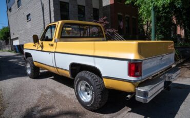 Chevrolet-K10-Pickup-1977-Standard-Cab-Pickup-5