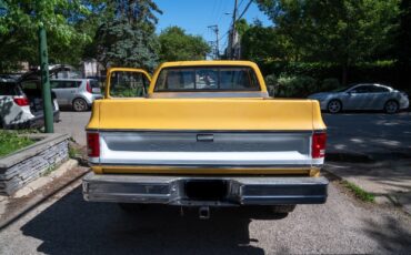 Chevrolet-K10-Pickup-1977-Standard-Cab-Pickup-6