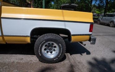 Chevrolet-K10-Pickup-1977-Standard-Cab-Pickup-7