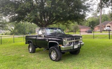 Chevrolet-K10-Pickup-1986-Standard-Cab-Pickup-12