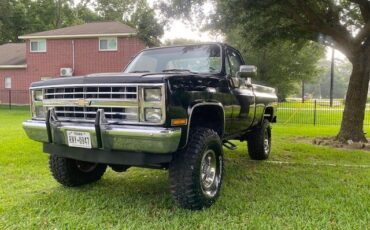 Chevrolet-K10-Pickup-1986-Standard-Cab-Pickup-13