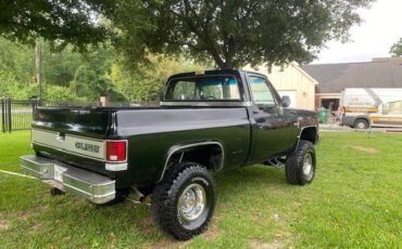 Chevrolet-K10-Pickup-1986-Standard-Cab-Pickup-5