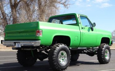Chevrolet-K20-1979-green-4