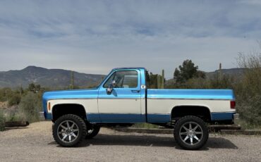 Chevrolet-K20-Pickup-1977-Standard-Cab-Pickup-3
