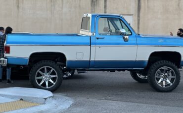 Chevrolet-K20-Pickup-1977-Standard-Cab-Pickup-4