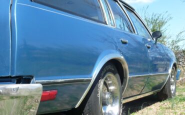 Chevrolet-Malibu-1982-Wagon-10