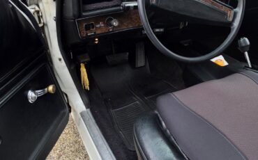 Chevrolet-Monte-Carlo-1973-Coupe-10