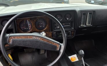 Chevrolet-Monte-Carlo-1973-Coupe-11