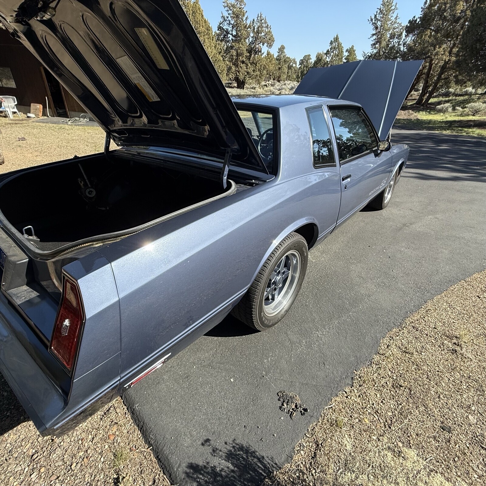 Chevrolet-Monte-Carlo-1984-Coupe-11
