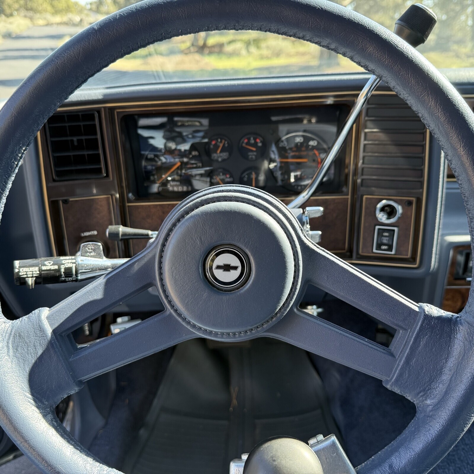 Chevrolet-Monte-Carlo-1984-Coupe-19