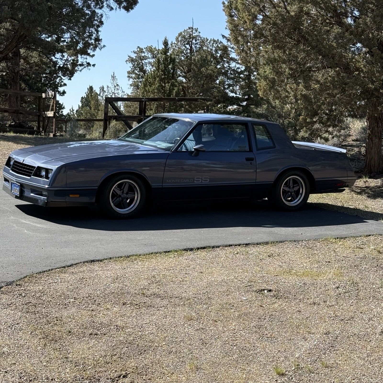 Chevrolet-Monte-Carlo-1984-Coupe-2