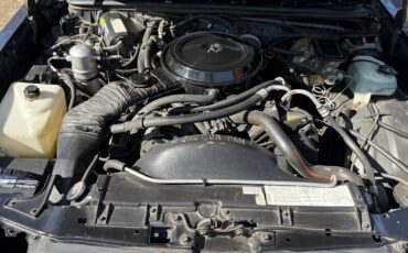 Chevrolet-Monte-Carlo-1984-Coupe-24