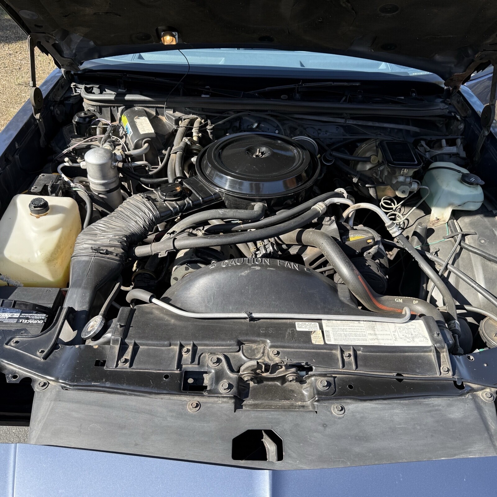 Chevrolet-Monte-Carlo-1984-Coupe-24