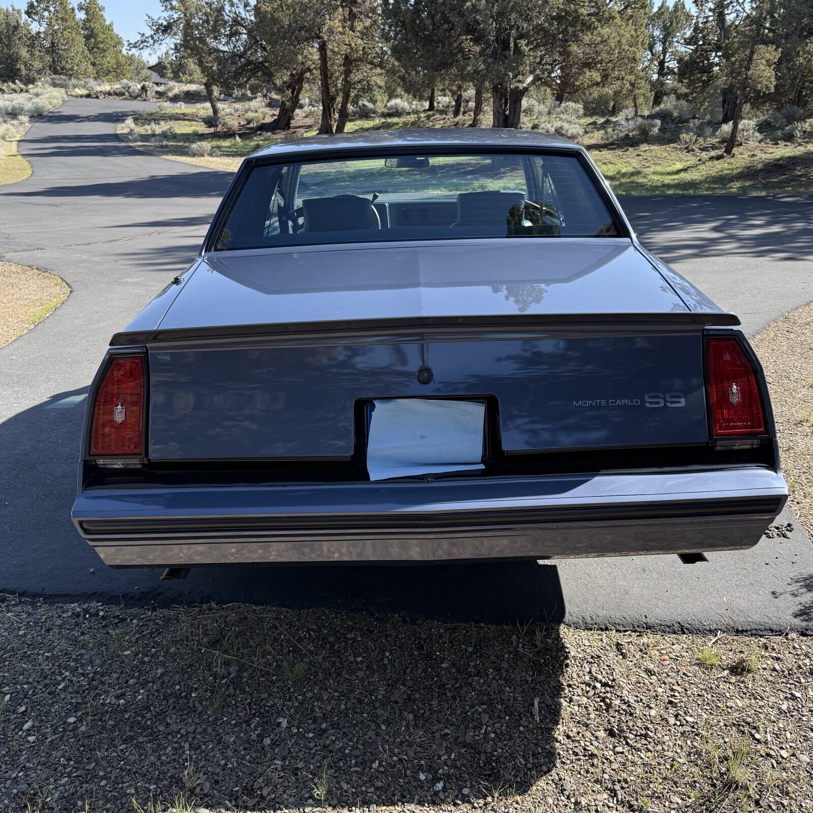 Chevrolet-Monte-Carlo-1984-Coupe-4