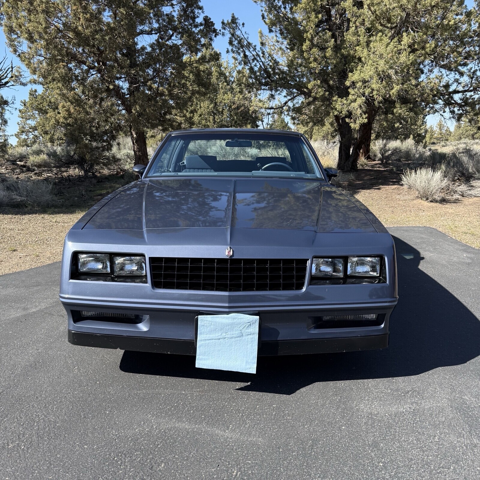 Chevrolet-Monte-Carlo-1984-Coupe-6