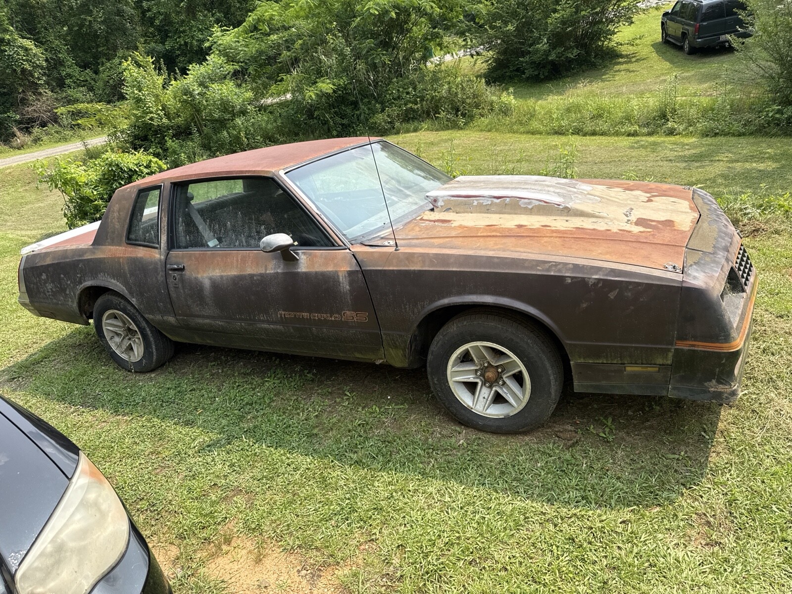 Chevrolet Monte Carlo 1985 Coupe