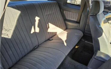 Chevrolet-Monte-Carlo-1987-13
