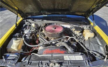 Chevrolet-Monte-Carlo-1987-14