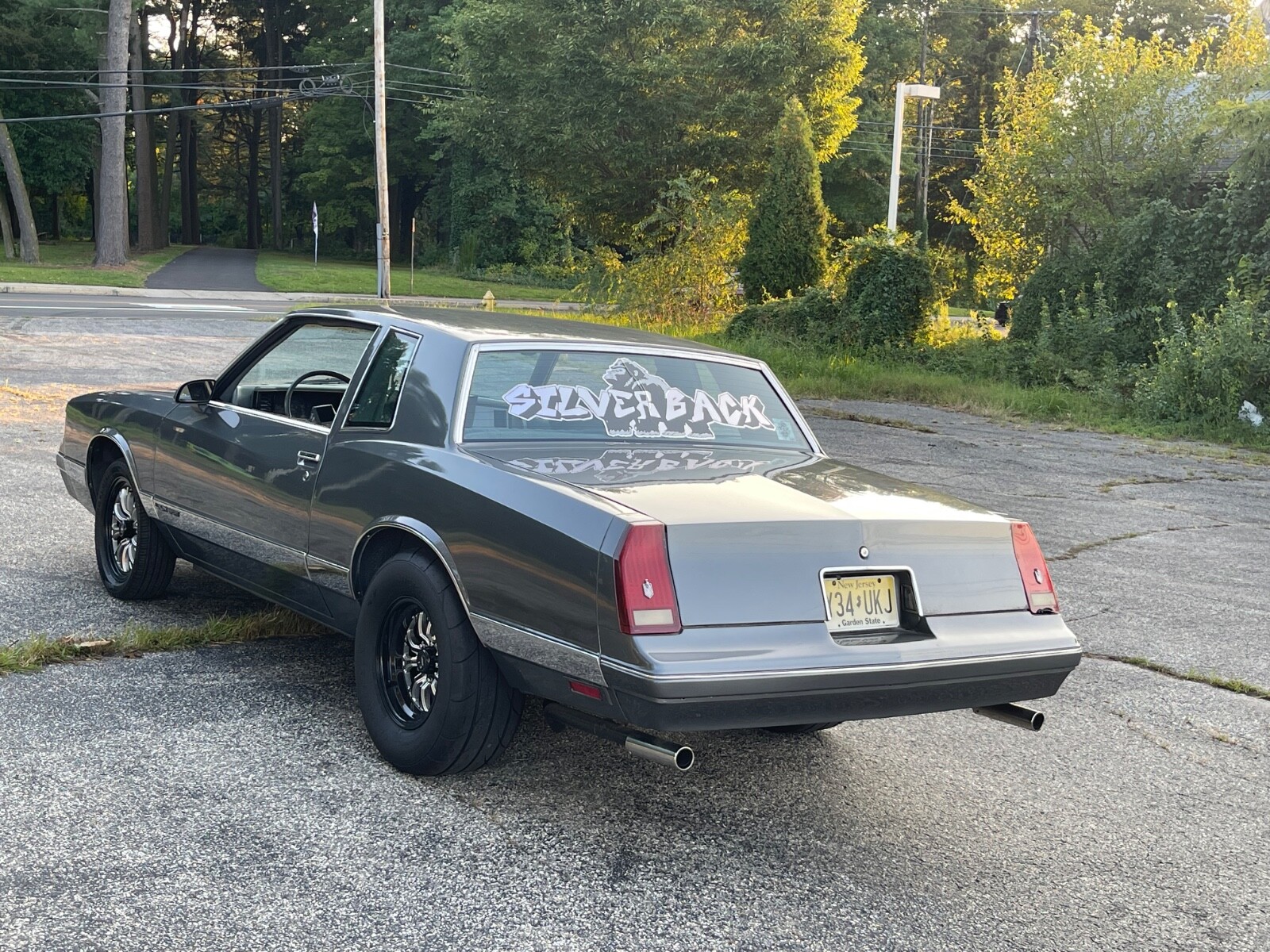 Chevrolet-Monte-Carlo-1987-3