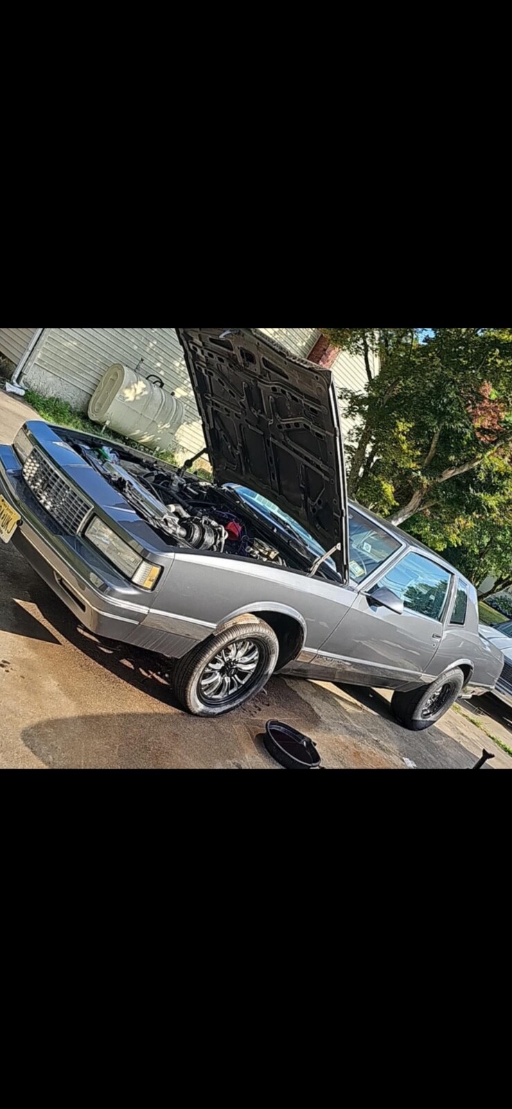 Chevrolet-Monte-Carlo-1987-7