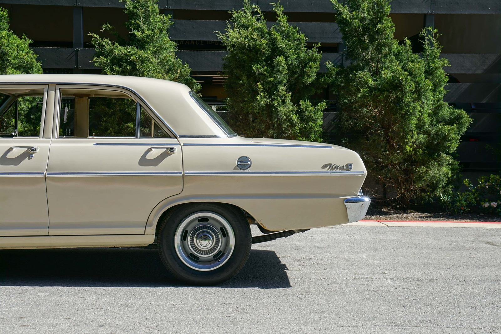 Chevrolet-Nova-1965-Sedan-7