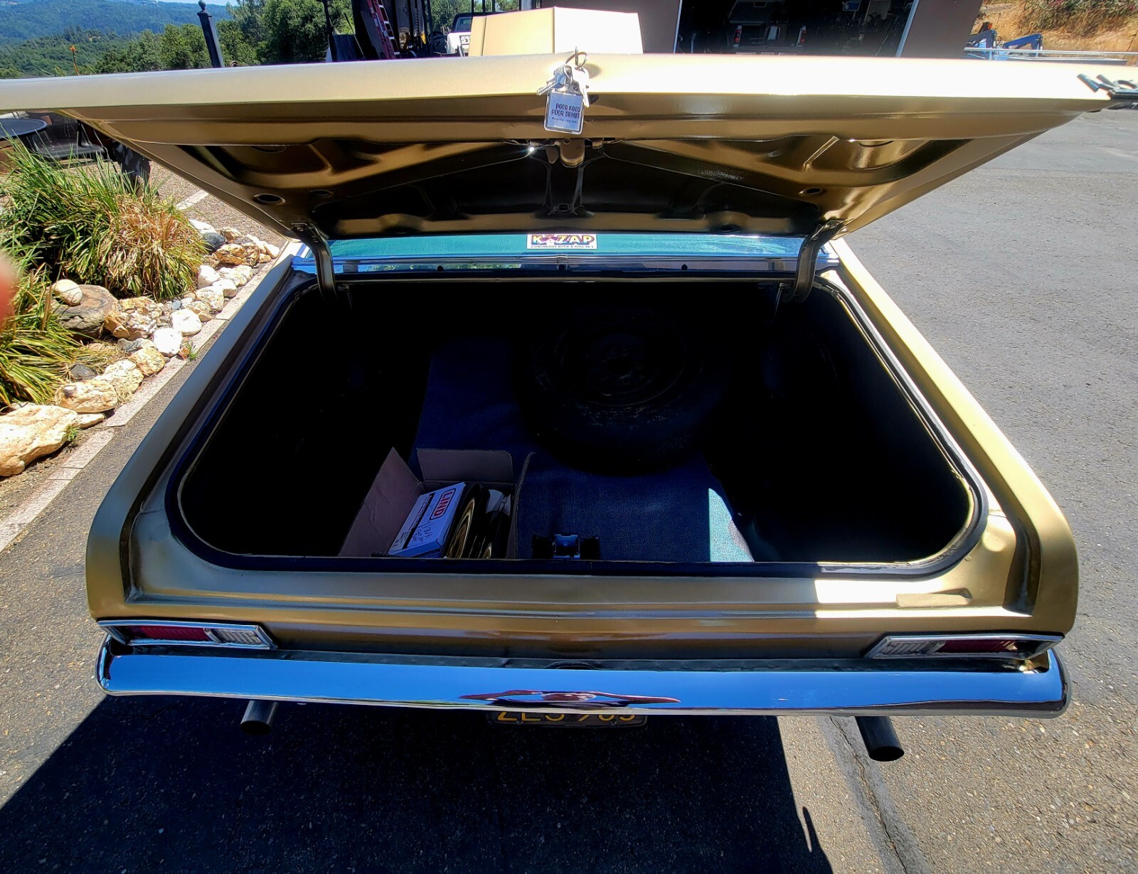 Chevrolet-Nova-1969-Coupe-13