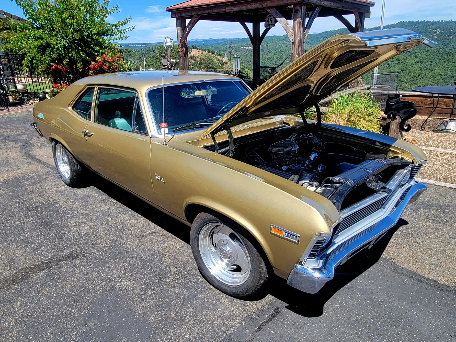 Chevrolet-Nova-1969-Coupe-17