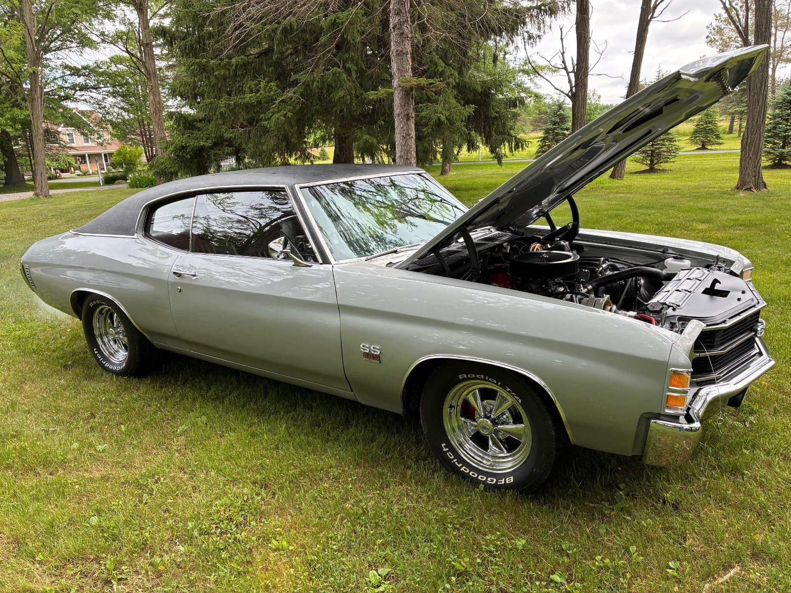 Chevrolet Other 1971 Coupe