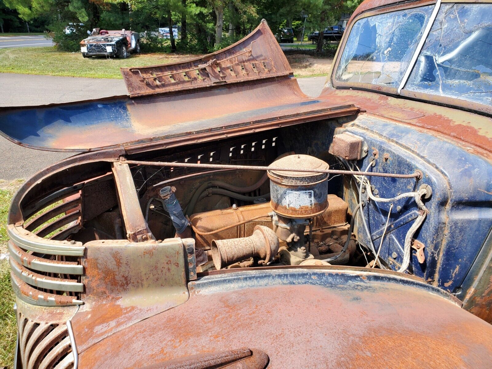 Chevrolet-Other-Pickups-1946-10