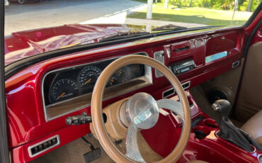 Chevrolet-Other-Pickups-1966-Pickup-Truck-21