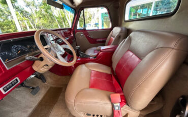 Chevrolet-Other-Pickups-1966-Pickup-Truck-22