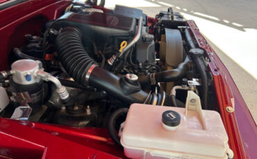 Chevrolet-Other-Pickups-1966-Pickup-Truck-30